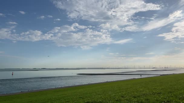 海湾附近的风力涡轮机 产生可再生的电力 保护环境 复制空间 清洁绿色能源 — 图库视频影像