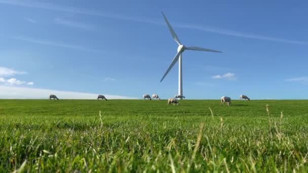 가능한 에너지 공간을 언덕에 잔디에 잔디에 생태계를 Eolic Eco 에너지 — 비디오