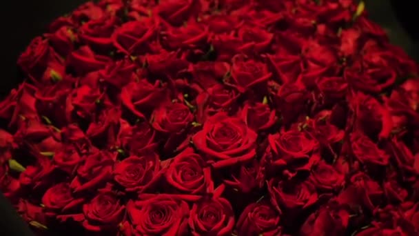 Прекрасний Величезний Букет Червоних Троянд Впритул Квітучі Троянди Справжнє Частування — стокове відео