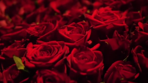 Kvetoucí Obrovská Kytici Růží Skutečnou Lahůdku Svatební Pozadí Valentýnský Koncept — Stock video