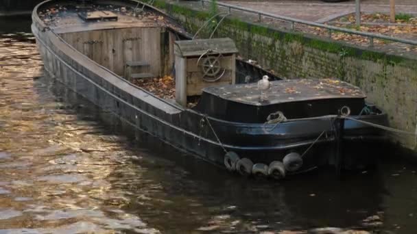 Martı Kanalında Siyah Bir Teknede Oturur — Stok video