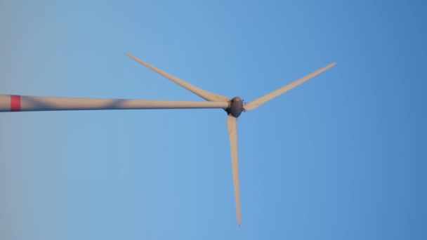 Vídeo Vertical Turbina Eólica Generadora Energía Eléctrica Renovable Molino Viento — Vídeos de Stock
