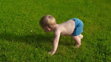 Bebek doğayı keşfediyor. Bahçedeki yeşil çimlerde sürünen küçük çocuk. Dışarıda sürünürken çiçek arayan komik küçük çocuk.