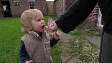 Meraklı küçük çocuk mutlu bir şekilde arka bahçede yemek yiyor. Çevredeki parlak ve renkli doğa ve özgürlük manzarasını keşfediyor..