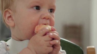 Sıcak bir ortamda, bir bebek neşeyle canlı bir meyve dilimini keşfeder, mutluluk ve merak yayar, unutulmaz aile anları ve yemek sohbetleri için mükemmeldir.