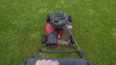 Parlak yeşil çimlerde çim biçme makinesini elle itmek. Bahçe aracı, bahçe temasını vurgulayan açık hava ekipmanı
