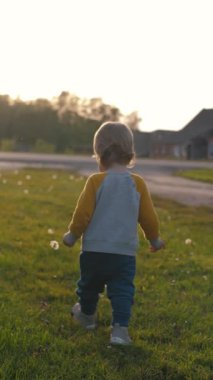 Canlı çiçeklerle dolu güneşli bir çayırda neşeli bir çocuk çocukluk masumiyetini ve doğanın güzelliğini keşfetme sevincini keşfediyor. Çevredeki herkese ilham veriyor.