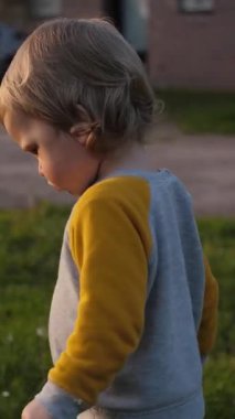 Evin yakınındaki güneşli bir avluda, neşeli bir çocuk elinde tüylü bir karahindiba ile dünyayı geziyor, çocukluğun masumiyetini ve günbatımındaki doğanın güzelliğinin neşesini temsil ediyor.