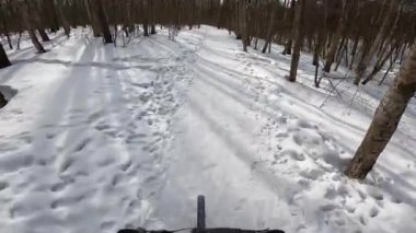 Beyaz, karlı bir kış yolu boyunca, bir kış ormanının karanlık ağaç gövdeleri arasında bisiklet sürerken FPV manzarası. Güneşli bir günde güzel, dinamik, karlı bir orman manzarası..