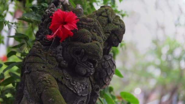 巴厘岛的印度尼西亚传统艺术 巴隆石像 绿苔覆盖 耳后有一朵美丽的红色活花 特写镜头和模糊的背景 — 图库视频影像