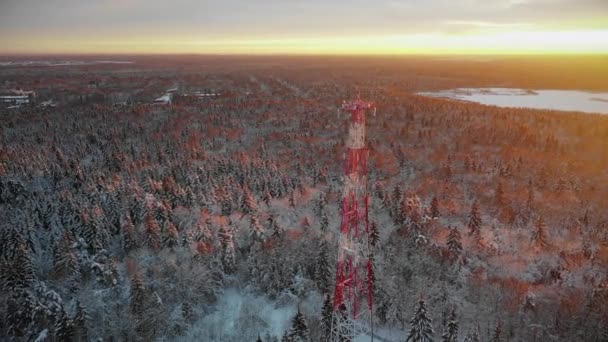 Telekommunikationstornet Mitt Snötäckt Skog Nära Byn Mot Bakgrund Ljus Nedgående — Stockvideo