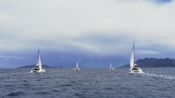 帆船赛上的帆船艇和游艇 在多云的天空背景下 看蓝色海岸上漂浮的白色游艇海洋游艇的概念 — 图库视频影像