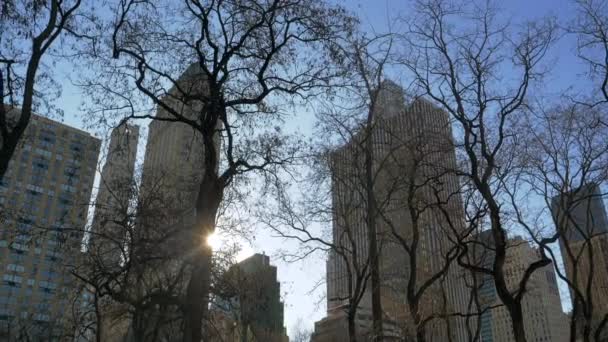 冬季的一天 在蓝天的映衬下 透过光秃秃的冬树枝条眺望纽约帝国大厦 纽约的景观 美国纽约 2020年1月31日 — 图库视频影像