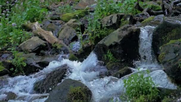 Los Arroyos Primavera Montaña Fluyen Rápidamente Largo Las Laderas Rocosas — Vídeo de stock