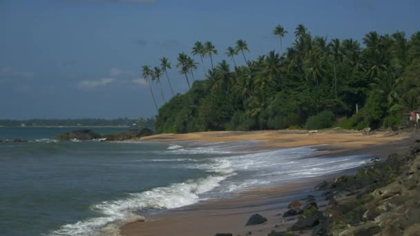 青い空とビーチの端に小さな小屋があるヤシの木を背景に 砂浜の岩のビーチで海の波がロールします 熱帯の海の海岸の風景 — ストック動画