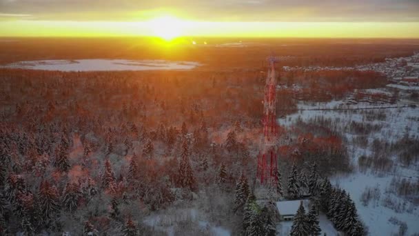 地平線の背後に明るい夕日を背景に村の近くの雪の森の真ん中に位置する通信塔上の飛行ドローンからのパノラマビュー 現代的なコミュニケーション手段 — ストック動画