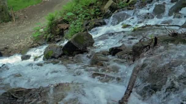 湍急的山泉水流下山坡 山雪的春天融化使溪流从岩石山坡流入山谷 慢动作 — 图库视频影像