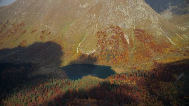 晴れた日には険しい山の斜面のふもとに金色の色合いの秋の森が雲からの影で覆われています 自然の風景の上を飛ぶ無人機からの撮影 — ストック動画