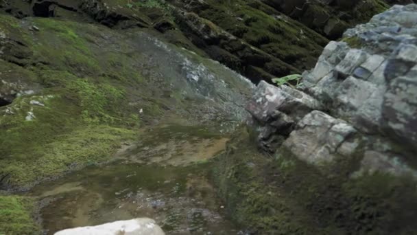 Górskie Strumienie Wody Spływające Górskich Zagłębień Zwolnij Trochę Wiosenne Topnienie — Wideo stockowe