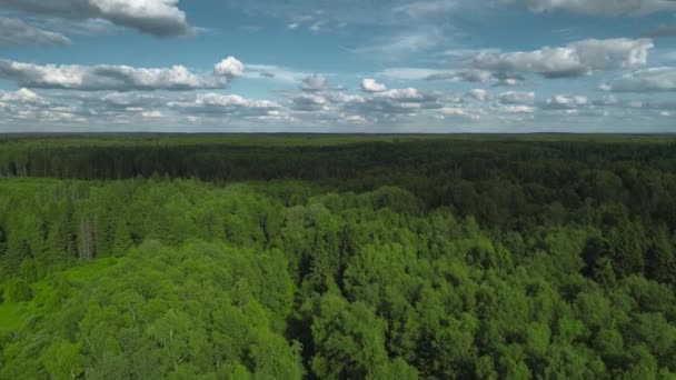 在阳光灿烂的日子里 从无人驾驶飞机飞越青翠的森林 看到美丽的蓝天 白云卷曲 令人赞叹的地平线 美丽的风景 — 图库视频影像