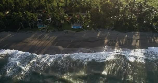 熱帯海岸の砂浜にあるヤシの木の中にある小さなロマンチックな観光リゾート 海上を飛行する無人機からの眺め 晴れた日の熱帯海岸の風景 — ストック動画