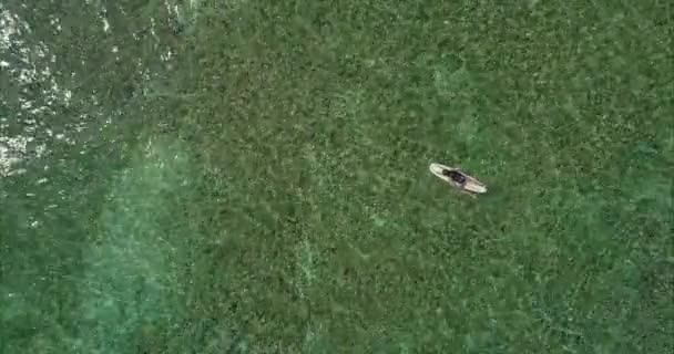 Молодий Серфер Лежить Дошці Серфінгу Веслує Руках Плаваючи Поверхні Спокійного — стокове відео