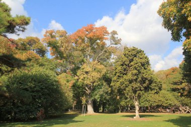 Varna sahil parkında güneşli bir sonbahar günü (Bulgaristan)