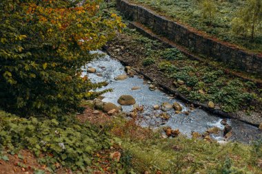 Mountain river in the autumn forest. clipart