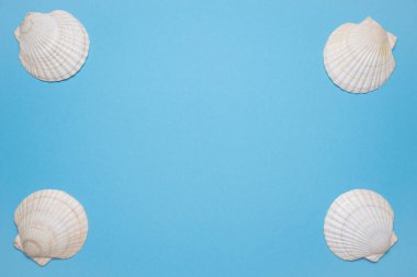 Mavi arka planda deniz kabukları ile yaz bedeni yatıyordu. Tatil, tatil, yaz yaratıcı konsept, kopya alanı, afiş