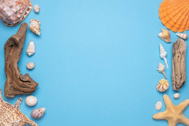 Düz yaz yatağı, mavi arka planda deniz kabukları, dalları ve deniz yıldızlarıyla çevrili çerçeve..
