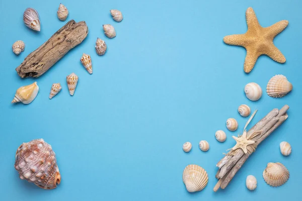Summer flat lay with seashells on blue background. Vacation, vacation, summer creative concept, copy space, banner