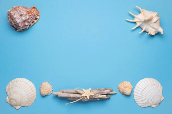 Summer flat lay with seashells on blue background. Vacation, vacation, summer creative concept, copy space, banner