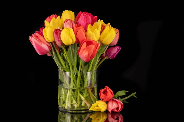Duży Kolorowy Bukiet Tulipanów Dużym Szklanym Wazonie Przed Czarnym Tłem — Zdjęcie stockowe