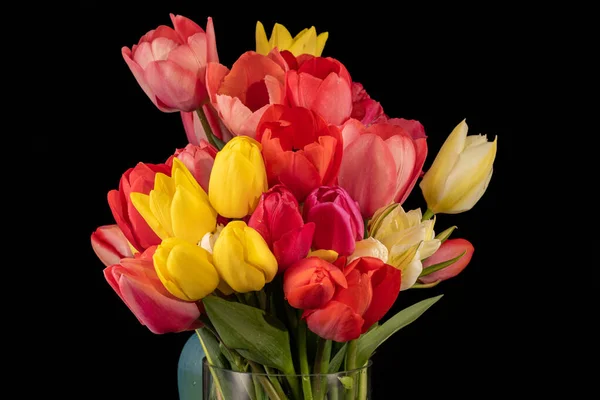 Cerrar Gran Ramo Tulipanes Colores Delante Fondo Negro —  Fotos de Stock