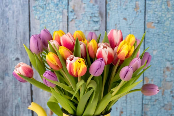 Close Colorful Bunch Tulips Front Blue Old Wooden Wall — Stock Photo, Image