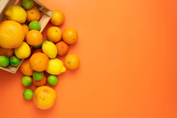 Concept Voor Vers Fruitig Sappig Fruit Bovenaanzicht Een Kleine Houten — Stockfoto