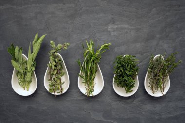 Küçük beyaz porselen kaselerde beş farklı taze ot.