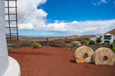 Yel değirmenini geçip geniş volkanik araziye bakın. Güneşli bir bahar günü Guatiza, Lanzarote, Kanarya Adaları, İspanya 'daki kaktüs bahçesi Jardin de Cactus' ta.