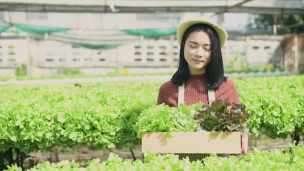 Landbouwconcept Van Resolutie Tuinders Leveren Groenten Aan Klanten Tuin — Stockvideo
