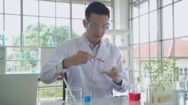 Araştırma konsepti 4K çözünürlüğü. Bir Asyalı test tüpüne sıvı damlatıyor..