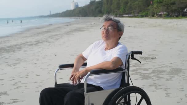 Conceito Férias Resolução Asiático Velho Homem Sentado Uma Cadeira Rodas — Vídeo de Stock