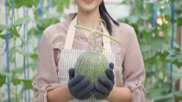 Landwirtschaftliches Konzept Der Auflösung Asiatin Mit Produktübergabe Mit Einem Lächeln — Stockvideo