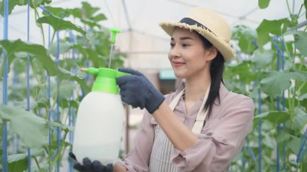 Concept Agricole Résolution Femme Asiatique Pulvérisation Insecticides Sur Les Arbres — Video