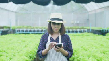 4k Çözünürlük Tarım Konsepti. Bir işçi bahçede sebzelerin yetişmesini kontrol ediyor. Bahçıvanın Üretim Değerlendirmesi.