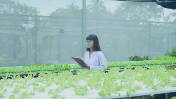 Mezőgazdaság Koncepciója Felbontás Kutatók Növénytermesztést Vizsgálják Üvegházakban Jegyezze Fel Zöldségkísérlet — Stock videók