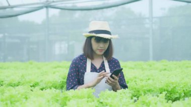 4k Çözünürlük Tarım Konsepti. Bir işçi bahçede sebzelerin yetişmesini kontrol ediyor. Bahçıvanın Üretim Değerlendirmesi.