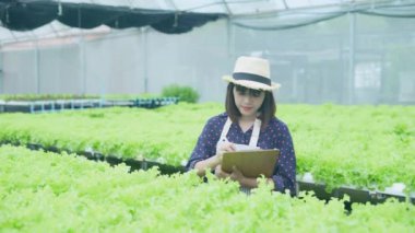 4k Çözünürlük Tarım Konsepti. İşçiler ağaçların büyümesi hakkında notlar alıyorlar. Bahçıvanın Üretim Değerlendirmesi.