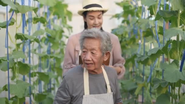 4K分辨率的农业概念 一位老妇人正在花园里教年轻妇女园艺 — 图库视频影像