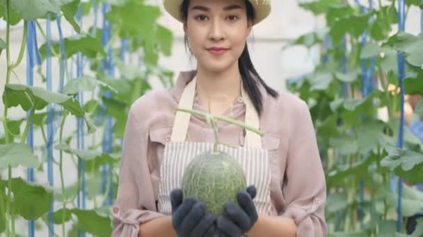 Jordbrukskonceptet Upplösning Asiatisk Kvinna Håller Producerar Överlämnande Med Ett Leende — Stockvideo