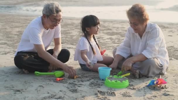 Holiday Concept Resolution Grandpa Grandma Playing Niece Beach Summer Vacation — Vídeo de stock